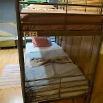 Corujinha *