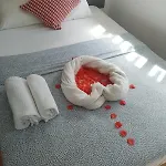Corujinha * Lisboa