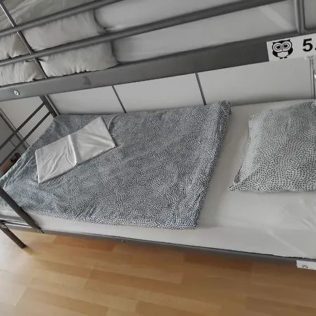 旅馆 猫头鹰旅舍